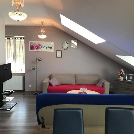 Rochire Location 1 Apartman Gérardmer Kültér fotó