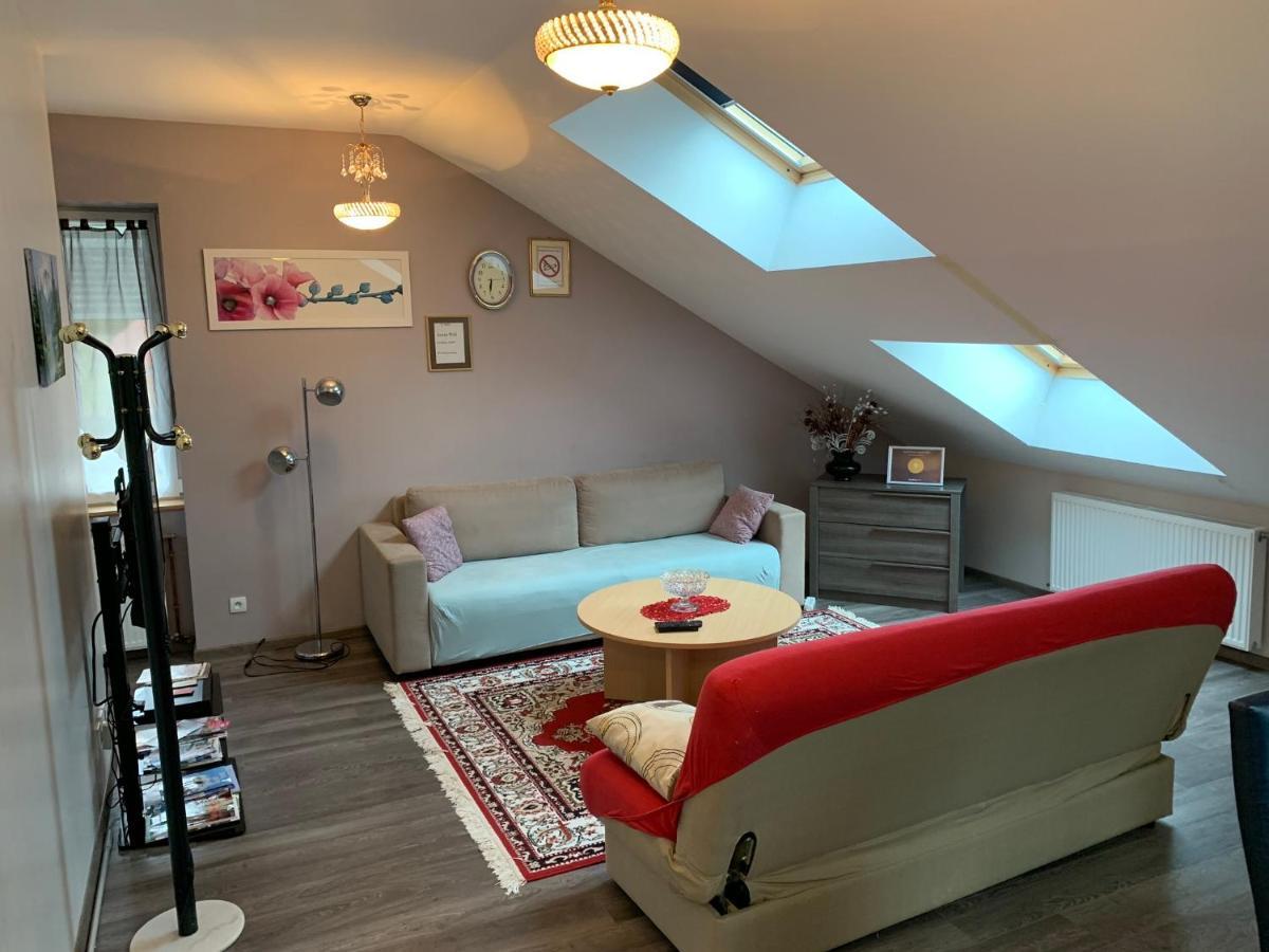 Rochire Location 1 Apartman Gérardmer Kültér fotó